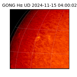 gong - 2024-11-15T04:00:02