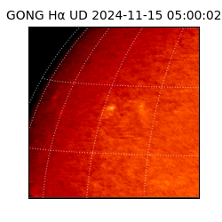 gong - 2024-11-15T05:00:02
