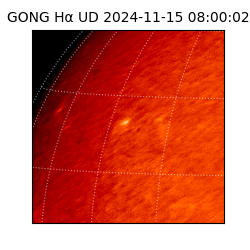 gong - 2024-11-15T08:00:02