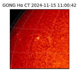 gong - 2024-11-15T11:00:42