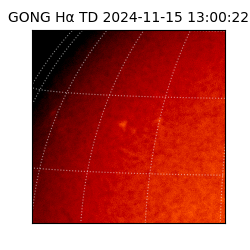 gong - 2024-11-15T13:00:22