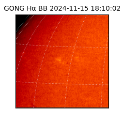 gong - 2024-11-15T18:10:02