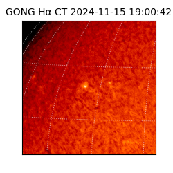 gong - 2024-11-15T19:00:42
