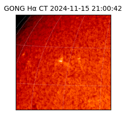 gong - 2024-11-15T21:00:42