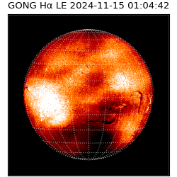 gong - 2024-11-15T01:04:42