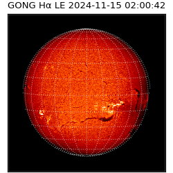 gong - 2024-11-15T02:00:42