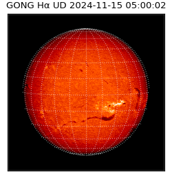 gong - 2024-11-15T05:00:02