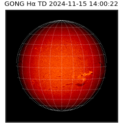 gong - 2024-11-15T14:00:22