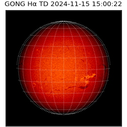 gong - 2024-11-15T15:00:22