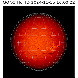 gong - 2024-11-15T16:00:22