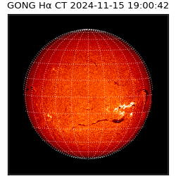 gong - 2024-11-15T19:00:42