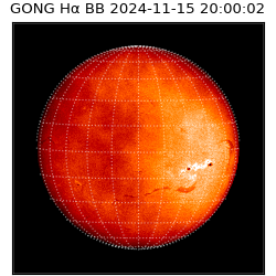 gong - 2024-11-15T20:00:02