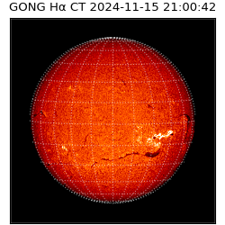 gong - 2024-11-15T21:00:42