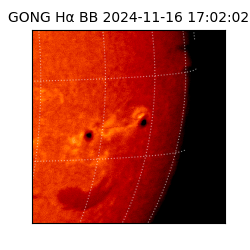 gong - 2024-11-16T17:02:02