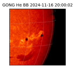 gong - 2024-11-16T20:00:02