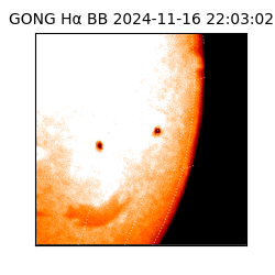 gong - 2024-11-16T22:03:02