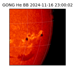 gong - 2024-11-16T23:00:02