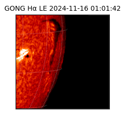 gong - 2024-11-16T01:01:42