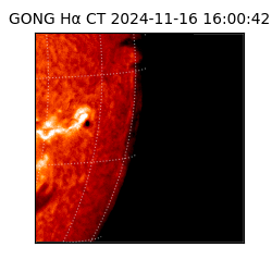 gong - 2024-11-16T16:00:42