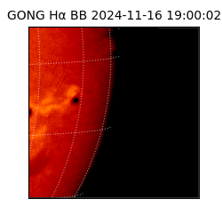 gong - 2024-11-16T19:00:02