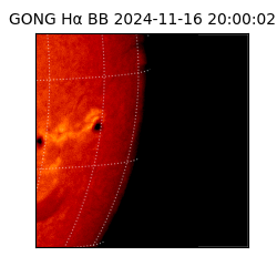 gong - 2024-11-16T20:00:02