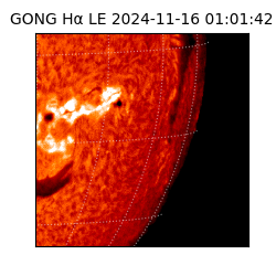 gong - 2024-11-16T01:01:42