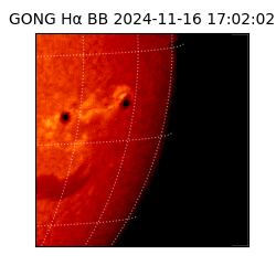 gong - 2024-11-16T17:02:02