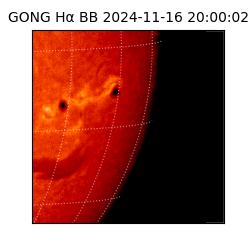 gong - 2024-11-16T20:00:02