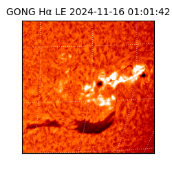 gong - 2024-11-16T01:01:42