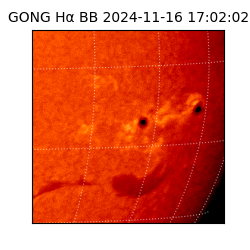 gong - 2024-11-16T17:02:02