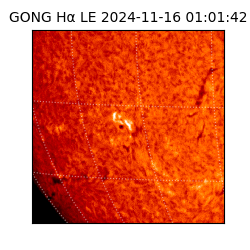 gong - 2024-11-16T01:01:42