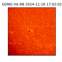 gong - 2024-11-16T17:02:02