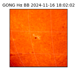 gong - 2024-11-16T18:02:02