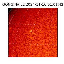 gong - 2024-11-16T01:01:42