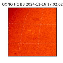 gong - 2024-11-16T17:02:02