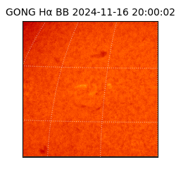 gong - 2024-11-16T20:00:02