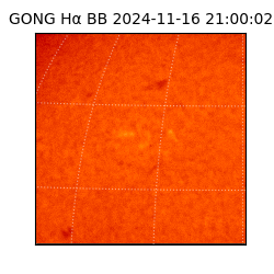 gong - 2024-11-16T21:00:02