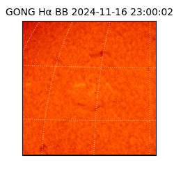 gong - 2024-11-16T23:00:02