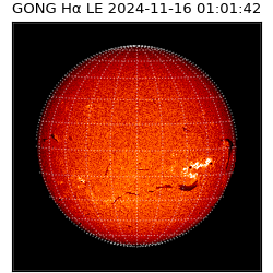 gong - 2024-11-16T01:01:42