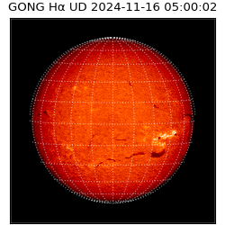 gong - 2024-11-16T05:00:02