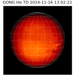 gong - 2024-11-16T13:02:22