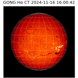 gong - 2024-11-16T16:00:42