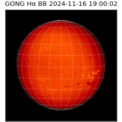 gong - 2024-11-16T19:00:02