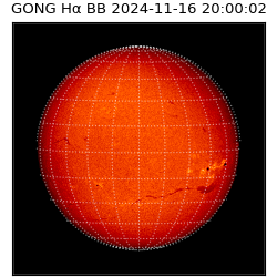 gong - 2024-11-16T20:00:02