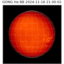 gong - 2024-11-16T21:00:02