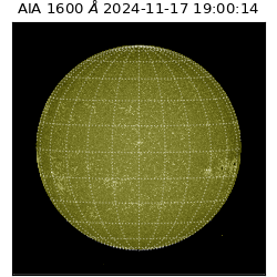 saia - 2024-11-17T19:00:14.126000