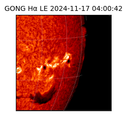 gong - 2024-11-17T04:00:42