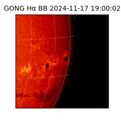 gong - 2024-11-17T19:00:02