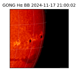 gong - 2024-11-17T21:00:02