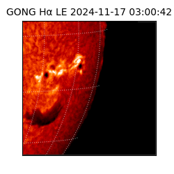 gong - 2024-11-17T03:00:42